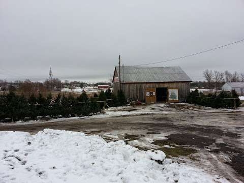 The Christmas Farm